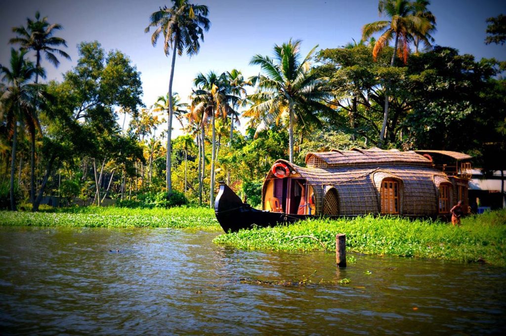 Backwater Bliss: Exploring the Tranquil Canals of Kerala